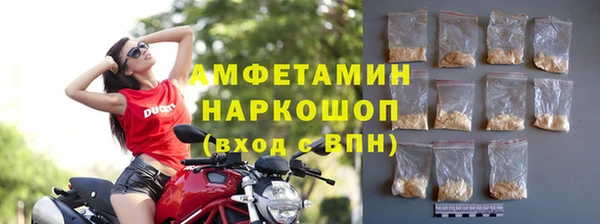 apvp Алзамай
