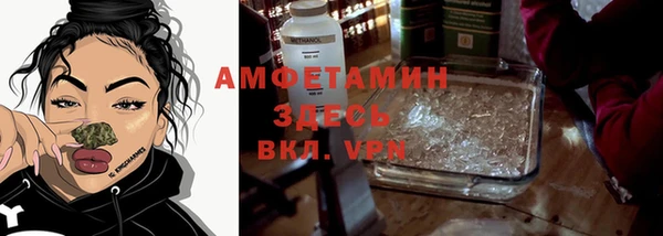 гидра Алексин