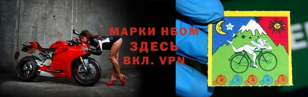 apvp Алзамай