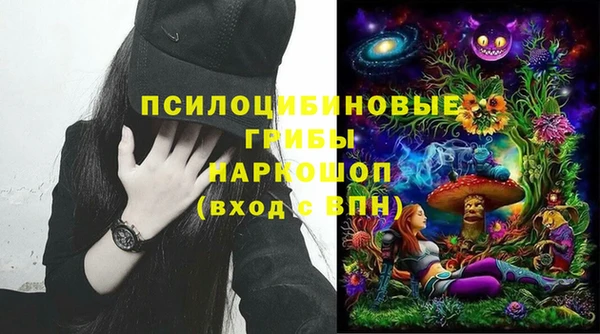 гидра Алексин