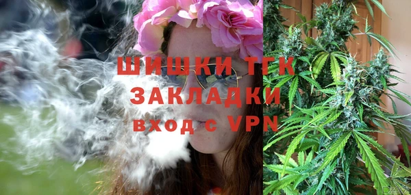 гидра Алексин