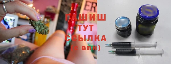 apvp Алзамай